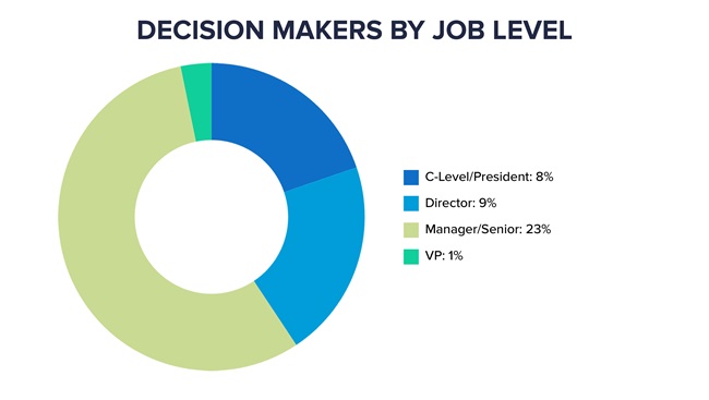 Decision Makers by job level