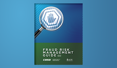 Fraud Risk Management Program View Fraud Resources