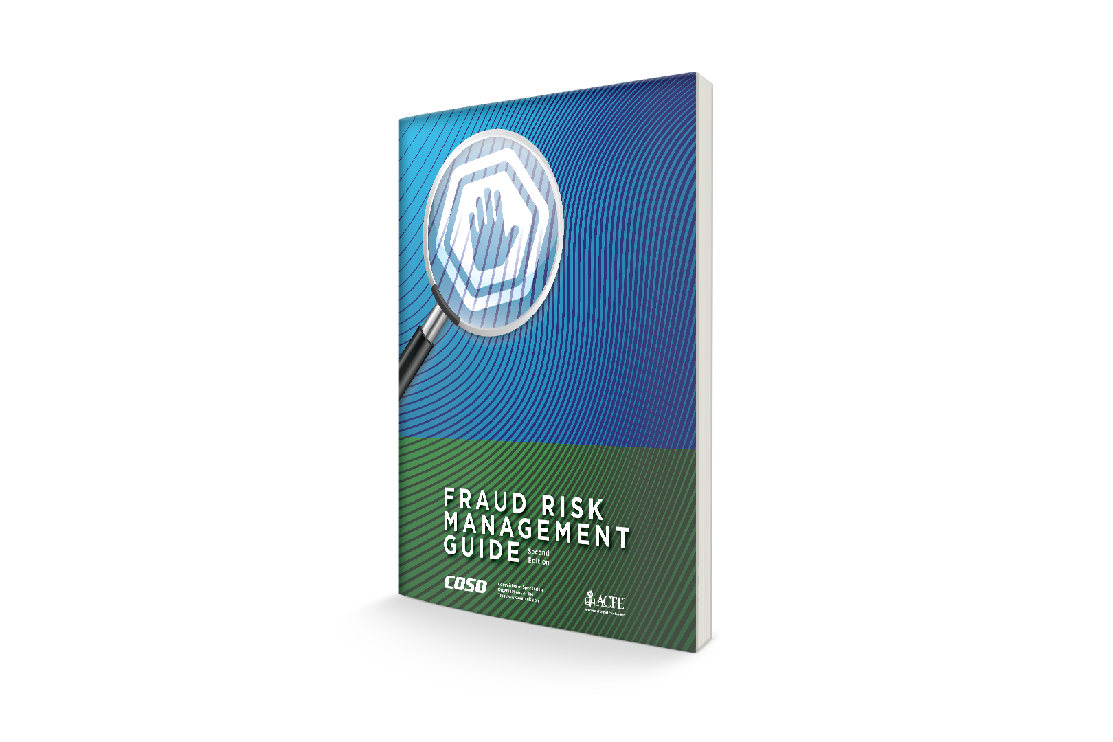Ocg Risk Management Guide Product Detail Page